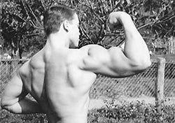 How Arnold Schwarzenegger Really Trained - The Truth